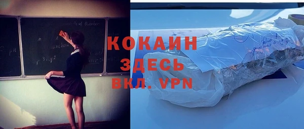 ГАЛЛЮЦИНОГЕННЫЕ ГРИБЫ Вязники