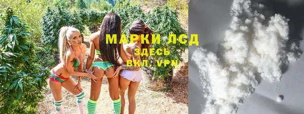 ГАЛЛЮЦИНОГЕННЫЕ ГРИБЫ Вязники