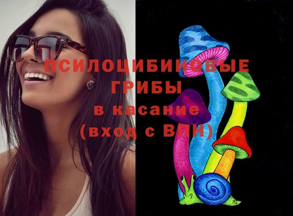 ГАЛЛЮЦИНОГЕННЫЕ ГРИБЫ Вязники
