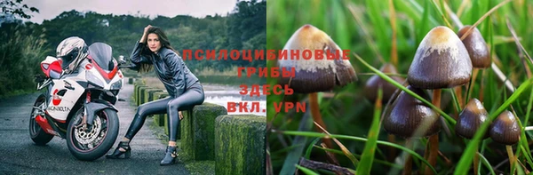 эйфоретик Волосово