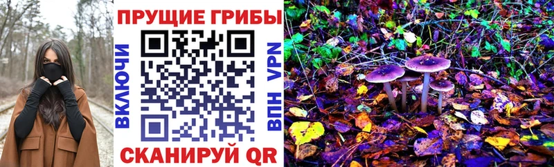 Галлюциногенные грибы MAGIC MUSHROOMS  маркетплейс формула  Отрадный  где купить  